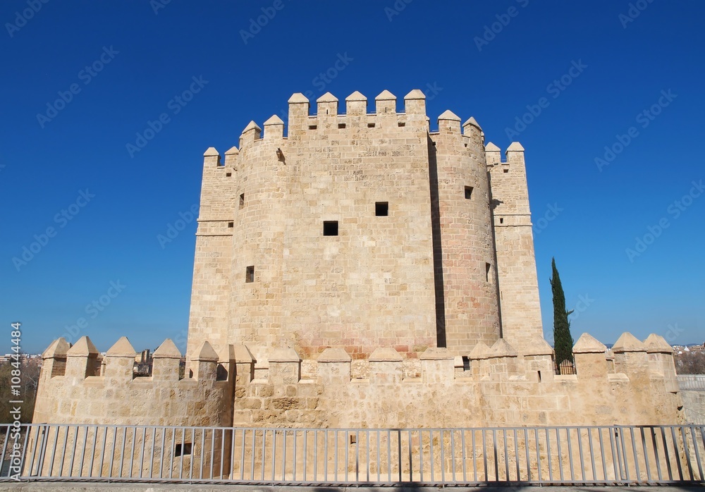 Wall mural calahorra tower (torre de la calahorra) near the roman bridge in cordoba, andalusia, spain