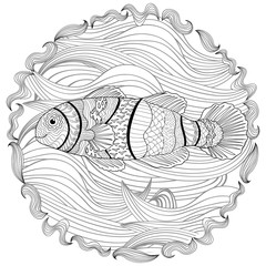 Clownfish with high details. 