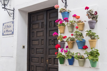 Courtyard decorated with geraniums, Cordoba, Spain