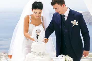 Beautiful newlyweds cut a wedding cake