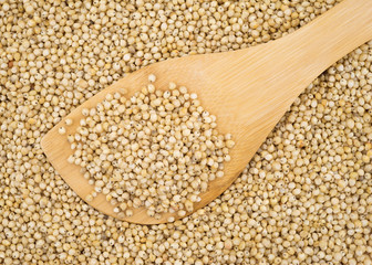 Whole grain sorghum seeds on a wood spoon.