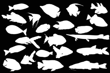 set of twenty two fish silhouettes isolated on black