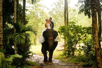 bride and groom riding on a elephant