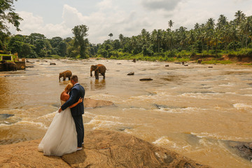 bride and groom hugging near river with elephants