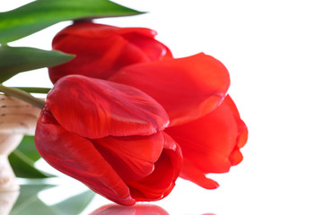 Beautiful bouquet of red  tulips 