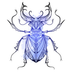 Hand drawn vintage stag beetle with blue watercolor splashes. Insect with doodle pattern. Vector element for tattoo sketch, printing on T-shirts, postcards and your design