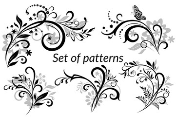 Set of Vintage Calligraphic Elements, Floral Patterns and Butterfly, Black and Grey Silhouettes Isolated on White Background. Vector