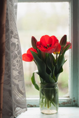 Red tulips on the background of a spring day