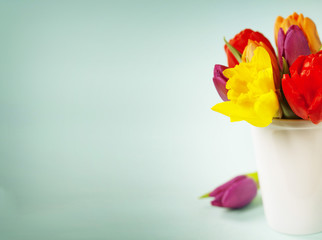 Spring flowers on blue background