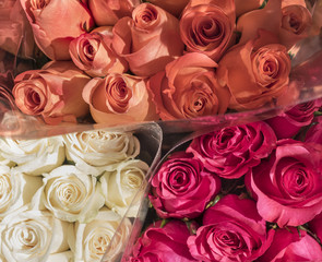 Bouquets of Roses: Bouquets of white, orange, and pink roses in a Manhattan market