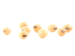 Soy beans on white background