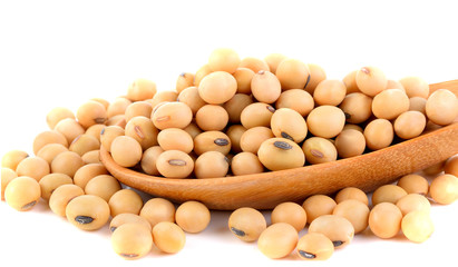 Soy beans in spoon on white background