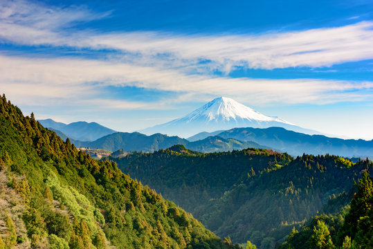 遠くに見える富士山