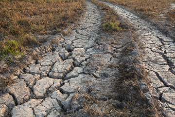 soil drought cracked texture on field