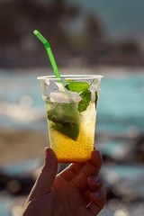 Mojito Cocktail