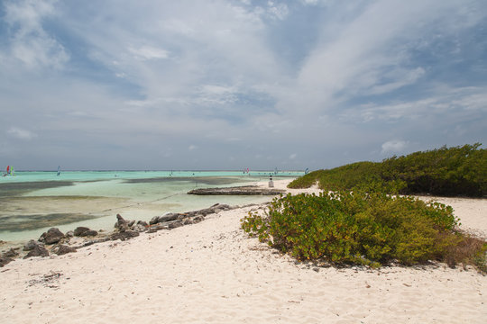 Windsurfing in the lagoon of the sea