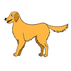 Cute cartoon golden retriever isolated on white background