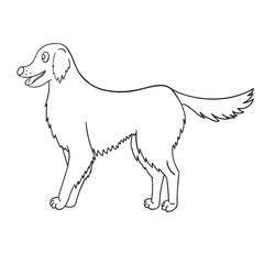 Cute contour golden retriever isolated on white background