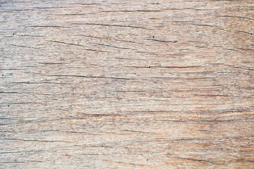 The Wood surface