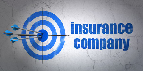 Insurance concept: target and Insurance Company on wall background