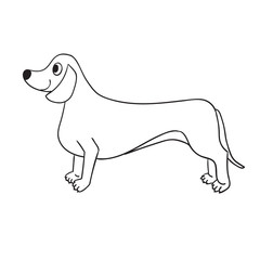 Cute contour dachshund isolated on white background