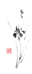 Wild Iris flower Japanese style original sumi-e ink painting. 