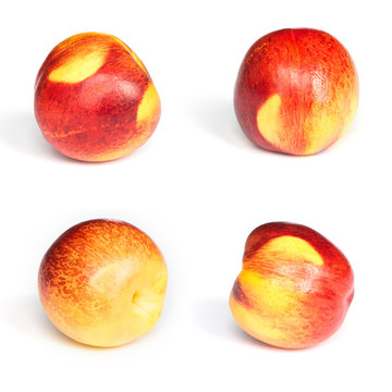Collection of nectarines