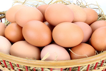 Brown eggs in the basket on white