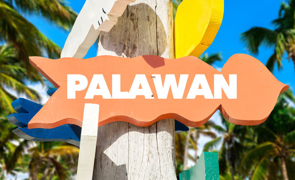 Palawan signpost with palm trees