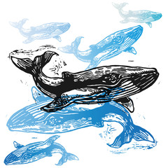Obraz premium Vector Whale animals in abstract composition.