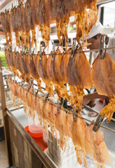 squid hang on the line