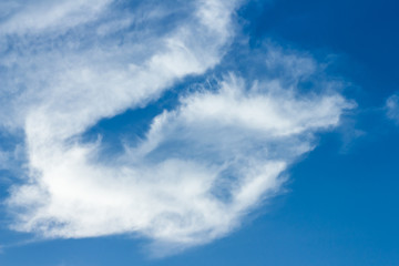 Obraz premium background