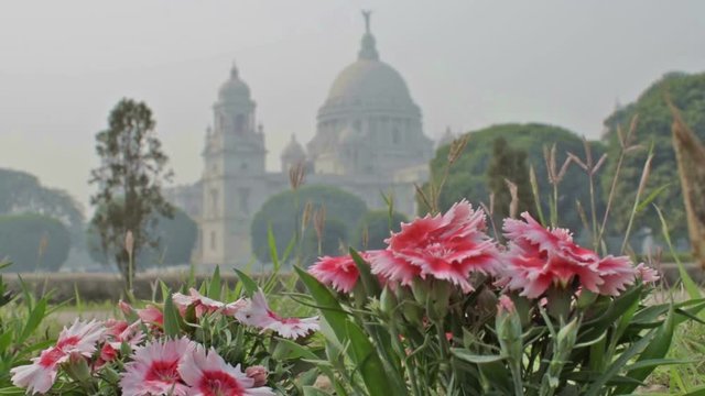 Victoria Memorial, Kolkata , Calcutta, West Bengal, India. A Historical Monument of Indian Architecture. Built between 1906 and 1921. Beautiful flowers in foreground - stock footage. 
