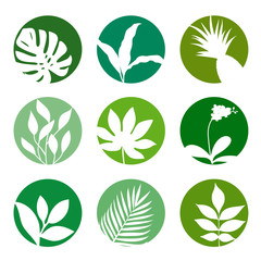 Obraz premium Tropical leaves on green circles. Natural icon. Leaves of various plants is masked Vector illustration.