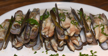 Razor shell