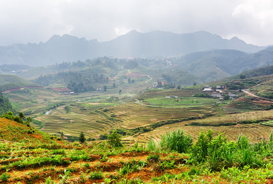 Top view of rice terraces at highlands. Sa Pa, Vietnam