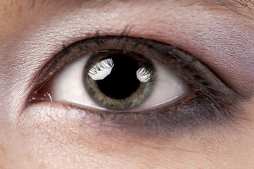 Obraz premium beautiful gray eye