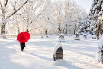 Winter Walk