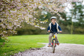 Sweet little preschool children, riding a bike in a cherry bloss