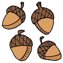 acorns