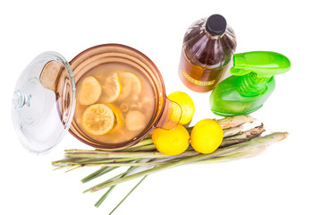 Apple cider vinegar, lemon and lemongrass home remedy, safe and effective formula to repel...