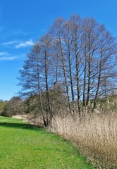 Frühling liegt in der Luft