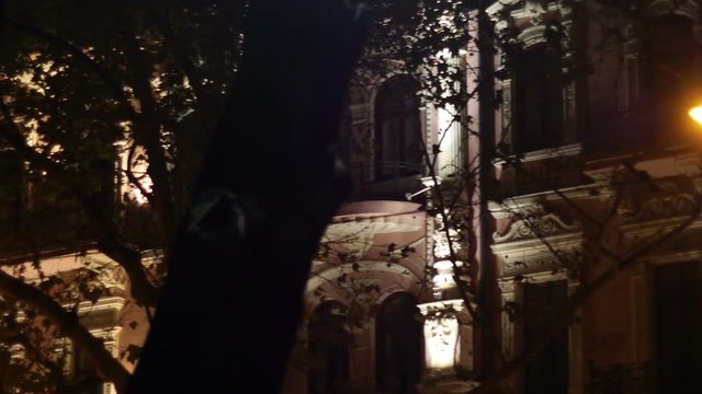 Old house in the trees lighed with street lapm at night