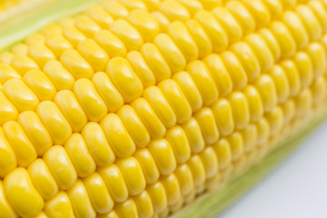 close-up of the the sweet corn on the white background