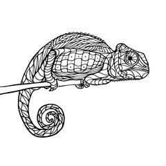 Zen tangle magic chameleon © megavic93