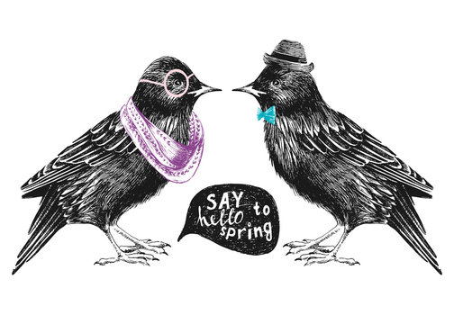 dressed up starling couple