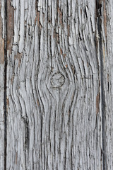 Old wood texture