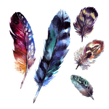 Watercolor Feathers Set