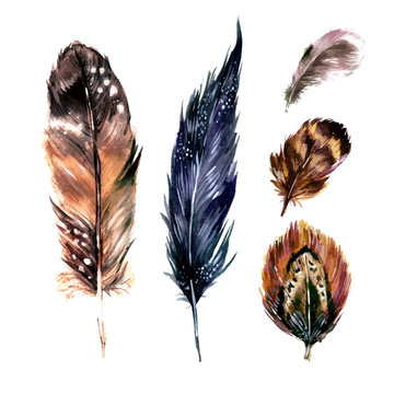Watercolor Feathers Set