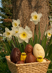 Basket Eastern Eggs in garden